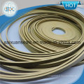 PTFE Verschleiß Ring Seal Guide Ring